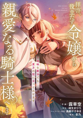 拝啓、役立たず令嬢から親愛なる騎士様へ～地味な魔法でも貴方の役に立ってみせます【電子単行本版】３