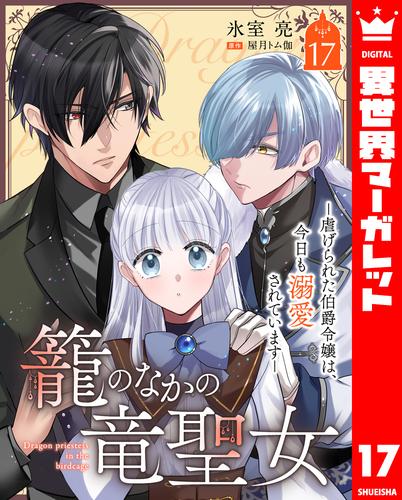 籠のなかの竜聖女 ―虐げられた伯爵令嬢は、今日も溺愛されています― 17