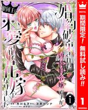 【無料】婚約破棄された辺境伯令嬢ですが、敵国王に求愛されて花嫁になりました 1