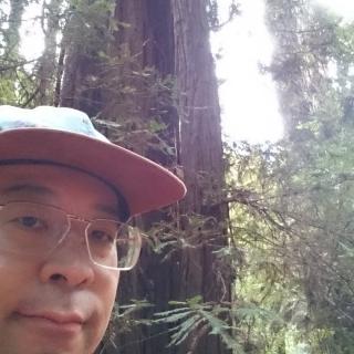 めるはばのアイコン