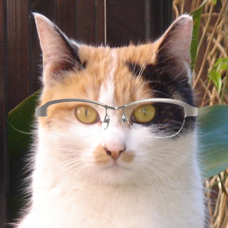 和泉兼定のアイコン