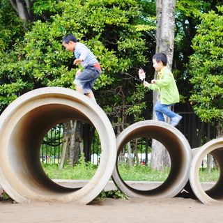 grusjaponeのアイコン