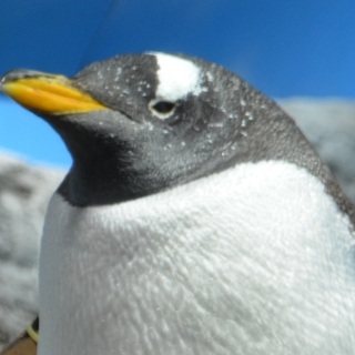 レビューネーム未設定のアイコン