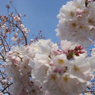 u89sq11mのアイコン