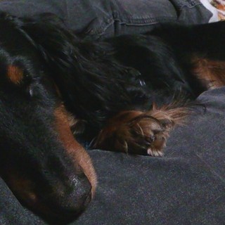 sho109のアイコン