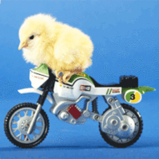 yasu.tokyoのアイコン