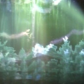 kojireiのアイコン