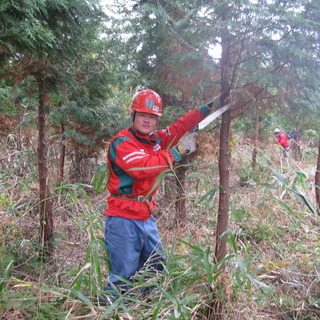 とひしこのアイコン