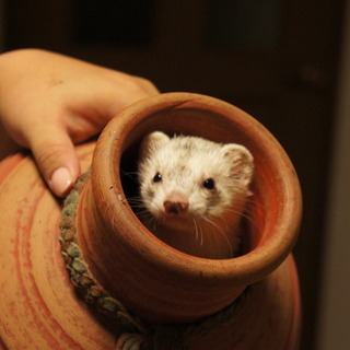 レビューネーム未設定のアイコン