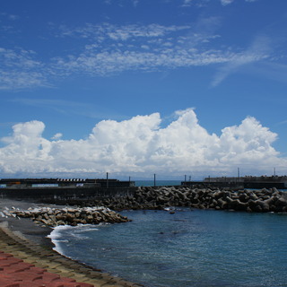 智書房のアイコン