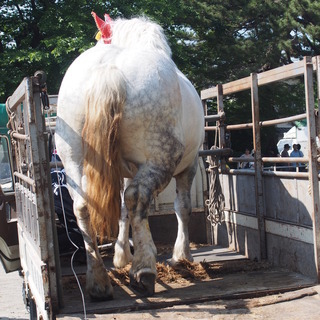 yayoicoのアイコン