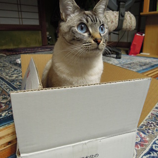 みなぞうのアイコン