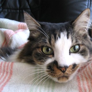 mbse500spのアイコン