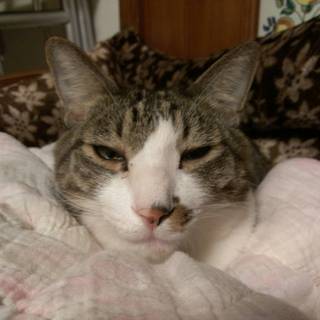 レビューネーム未設定のアイコン