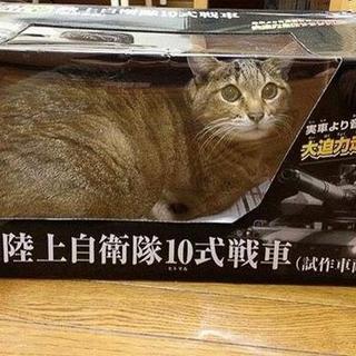 ヤスのアイコン