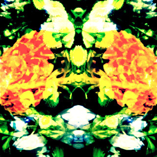 mi-chanのアイコン