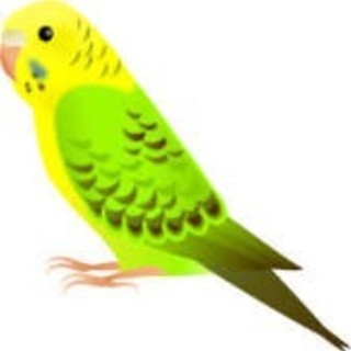 あーるぐれいのアイコン