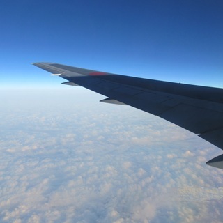 くぅとんのアイコン