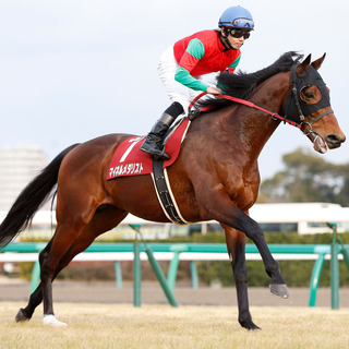 競馬大好き！のアイコン