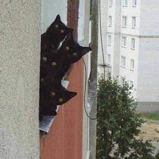 みふぁんのアイコン