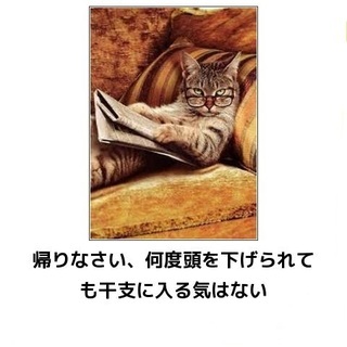 まるねこのアイコン