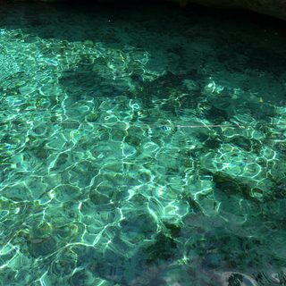 きのこのアイコン