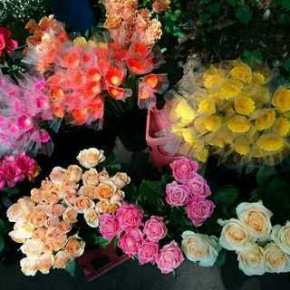 まるこじのアイコン