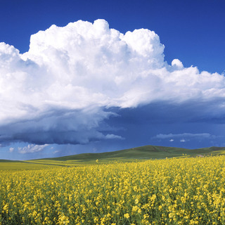 genki母さんのアイコン